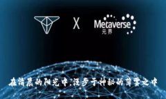 在清晨的阳光中，漫步于神秘的薄雾之中