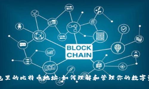 钱包里的比特币地址：如何理解和管理你的数字资产