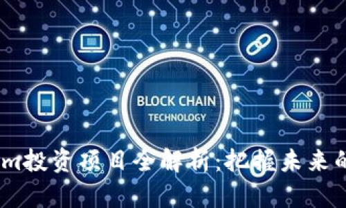 2023年Tokenim投资项目全解析：把握未来的金融科技机遇