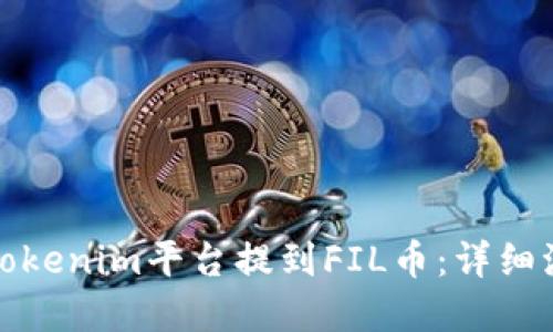 如何在Tokenim平台提到FIL币：详细流程教程