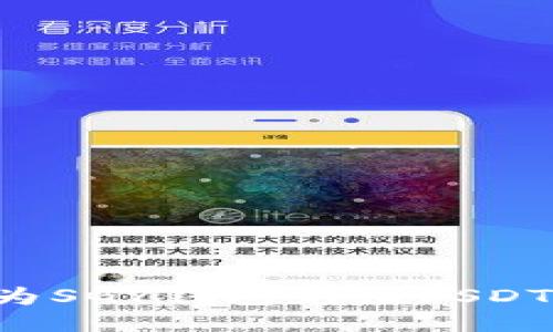 如何快速为SGY钱包充值USDT：详细指南