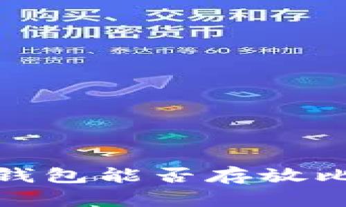 tokentokenim钱包能否存放比特币？全面解读