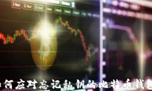 
如何应对忘记私钥的比特币钱包？