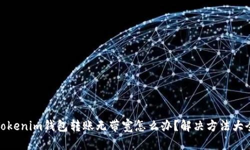 Tokenim钱包转账无带宽怎么办？解决方法大全