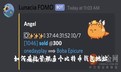 如何有效管理多个比特币钱包地址