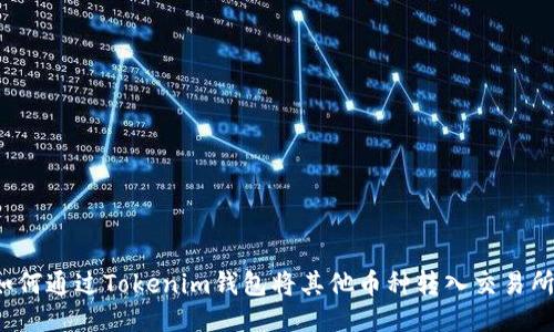 如何通过Tokenim钱包将其他币种转入交易所？