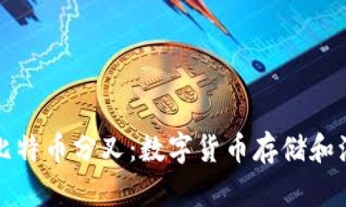 比特币钱包和比特币分叉：数字货币存储和演变的全景探讨