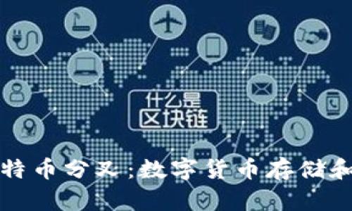比特币钱包和比特币分叉：数字货币存储和演变的全景探讨
