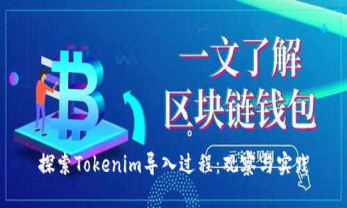 探索Tokenim导入过程：观察与实践