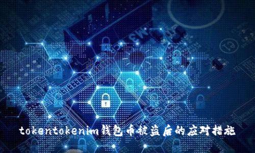 tokentokenim钱包币被盗后的应对措施