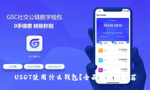 USDT使用什么钱包？全面指南与推荐