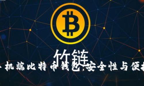 如何选择最佳手机端比特币钱包：安全性与便捷性的完美结合
