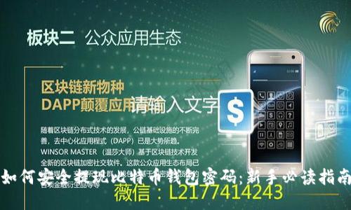 如何安全提现比特币钱包密码：新手必读指南