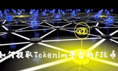 如何提取Tokenim平台的FIL币？