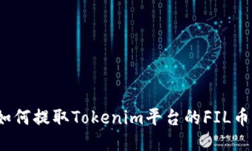 如何提取Tokenim平台的FIL币？