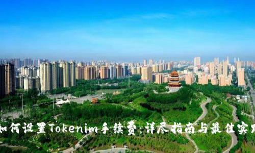 如何设置Tokenim手续费：详尽指南与最佳实践