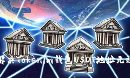 如何解决Tokenim钱包USDT地址无效问题