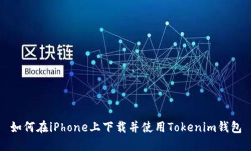 如何在iPhone上下载并使用Tokenim钱包
