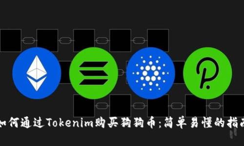 如何通过Tokenim购买狗狗币：简单易懂的指南