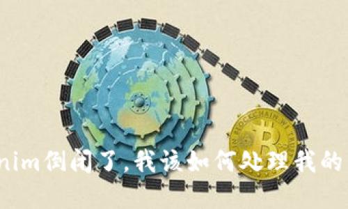Tokenim倒闭了，我该如何处理我的资产？