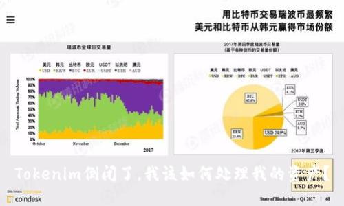 Tokenim倒闭了，我该如何处理我的资产？