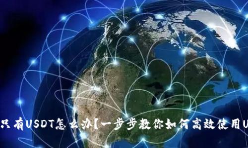 钱包只有USDT怎么办？一步步教你如何高效使用USDT！
