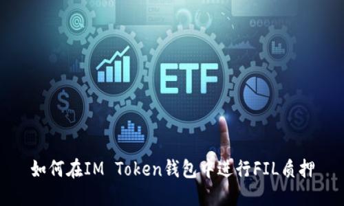 如何在IM Token钱包中进行FIL质押