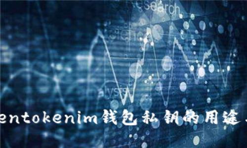 探索Tokentokenim钱包私钥的用途与安全性