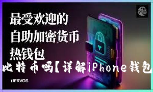 苹果手机钱包能存比特币吗？详解iPhone钱包与比特币的兼容性