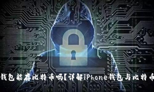 苹果手机钱包能存比特币吗？详解iPhone钱包与比特币的兼容性