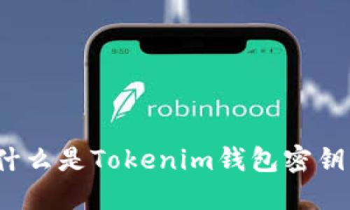 什么是Tokenim钱包密钥？