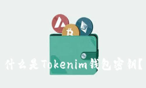 什么是Tokenim钱包密钥？