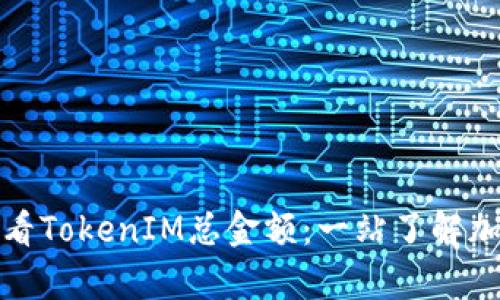 如何有效查看TokenIM总金额：一站了解加密资产管理