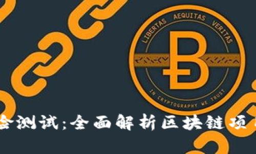 Tokenim 风险测试：全面解析区块链项目的潜在风险