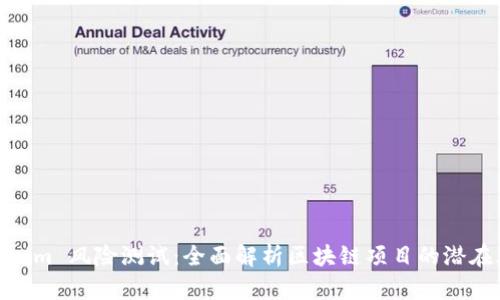 Tokenim 风险测试：全面解析区块链项目的潜在风险