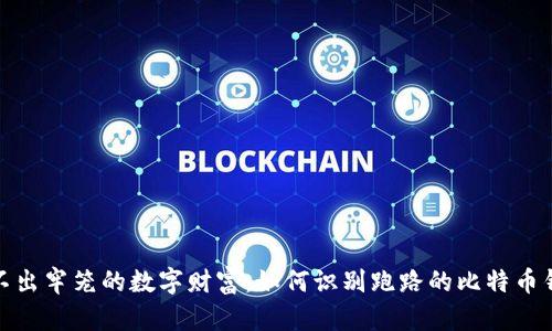 逃不出牢笼的数字财富：如何识别跑路的比特币钱包
