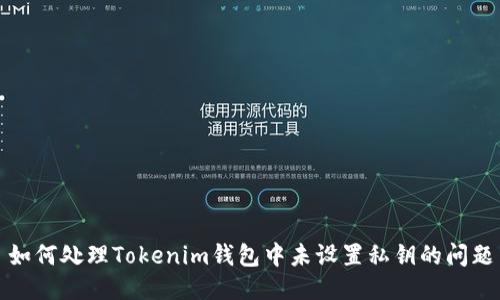 如何处理Tokenim钱包中未设置私钥的问题