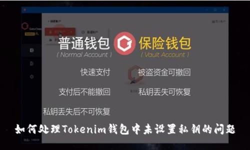 如何处理Tokenim钱包中未设置私钥的问题