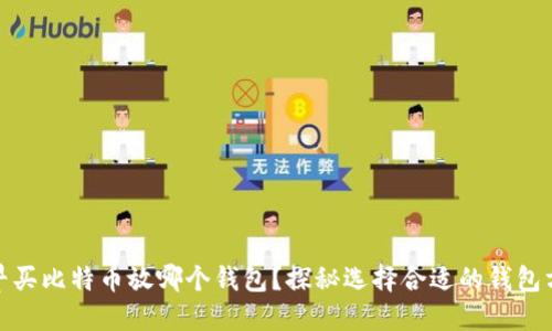 最早买比特币放哪个钱包？探秘选择合适的钱包方案