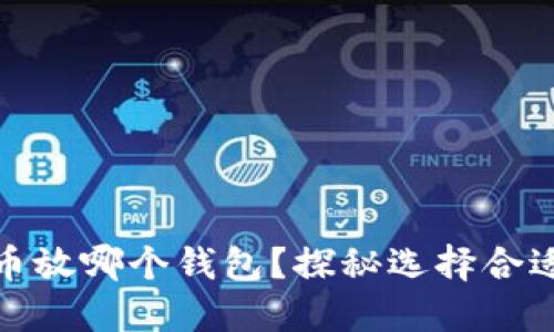 最早买比特币放哪个钱包？探秘选择合适的钱包方案