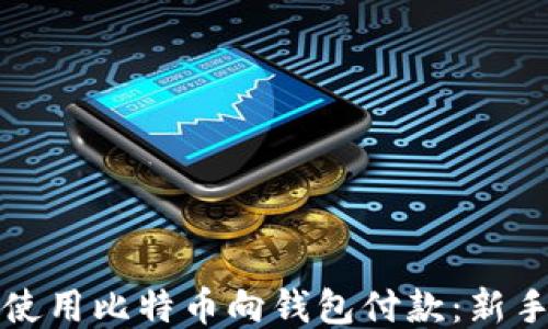 
如何使用比特币向钱包付款：新手指南