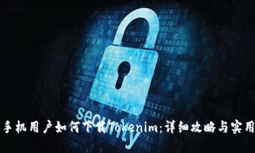 苹果手机用户如何下载Tokenim：详细攻略与实用技巧