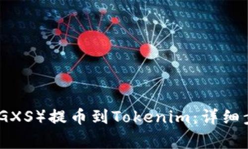 如何将公信宝（GXS）提币到Tokenim：详细步骤与注意事项