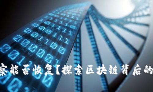 Tokenim警察能否恢复？探索区块链背后的安全与合规