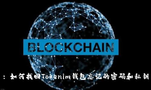 : 如何找回Tokenim钱包忘记的密码和私钥