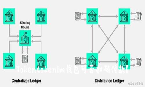 Tokentokenim钱包可否扫码付款？