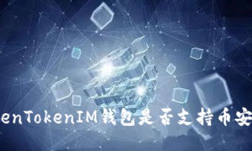 TokenTokenIM钱包是否支持币安链？