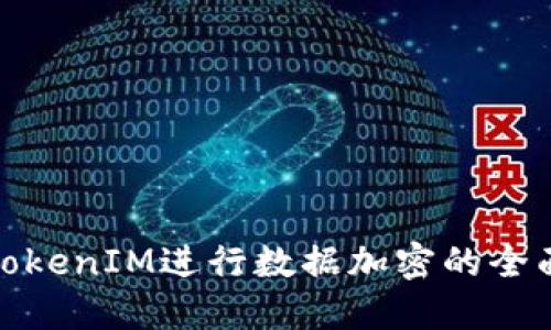 使用TokenIM进行数据加密的全面指南