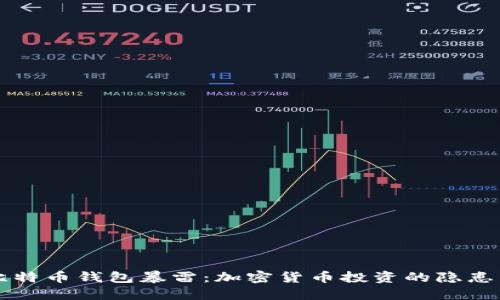 国内比特币钱包暴雷：加密货币投资的隐患与教训