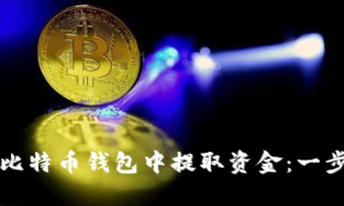 如何从比特币钱包中提取资金：一步步指南